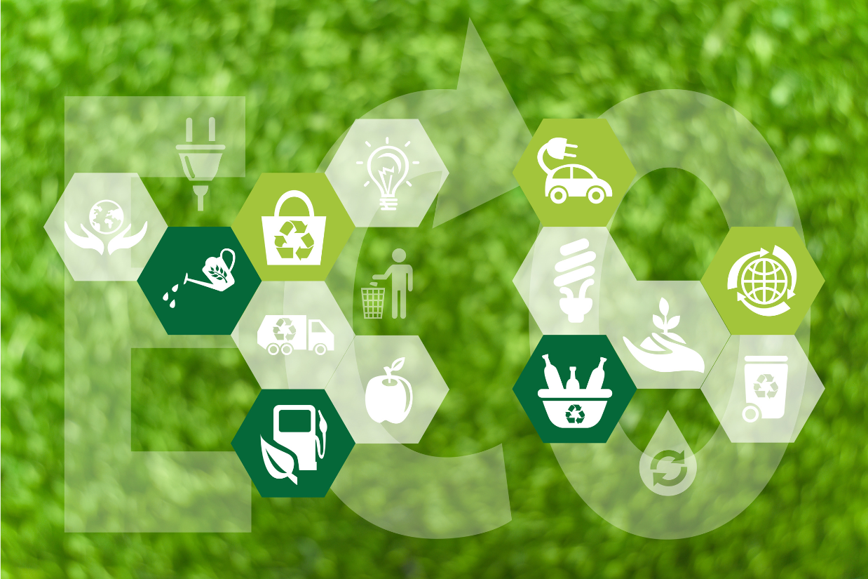 Eco-friendly composite panels made from recycled wood and plastic